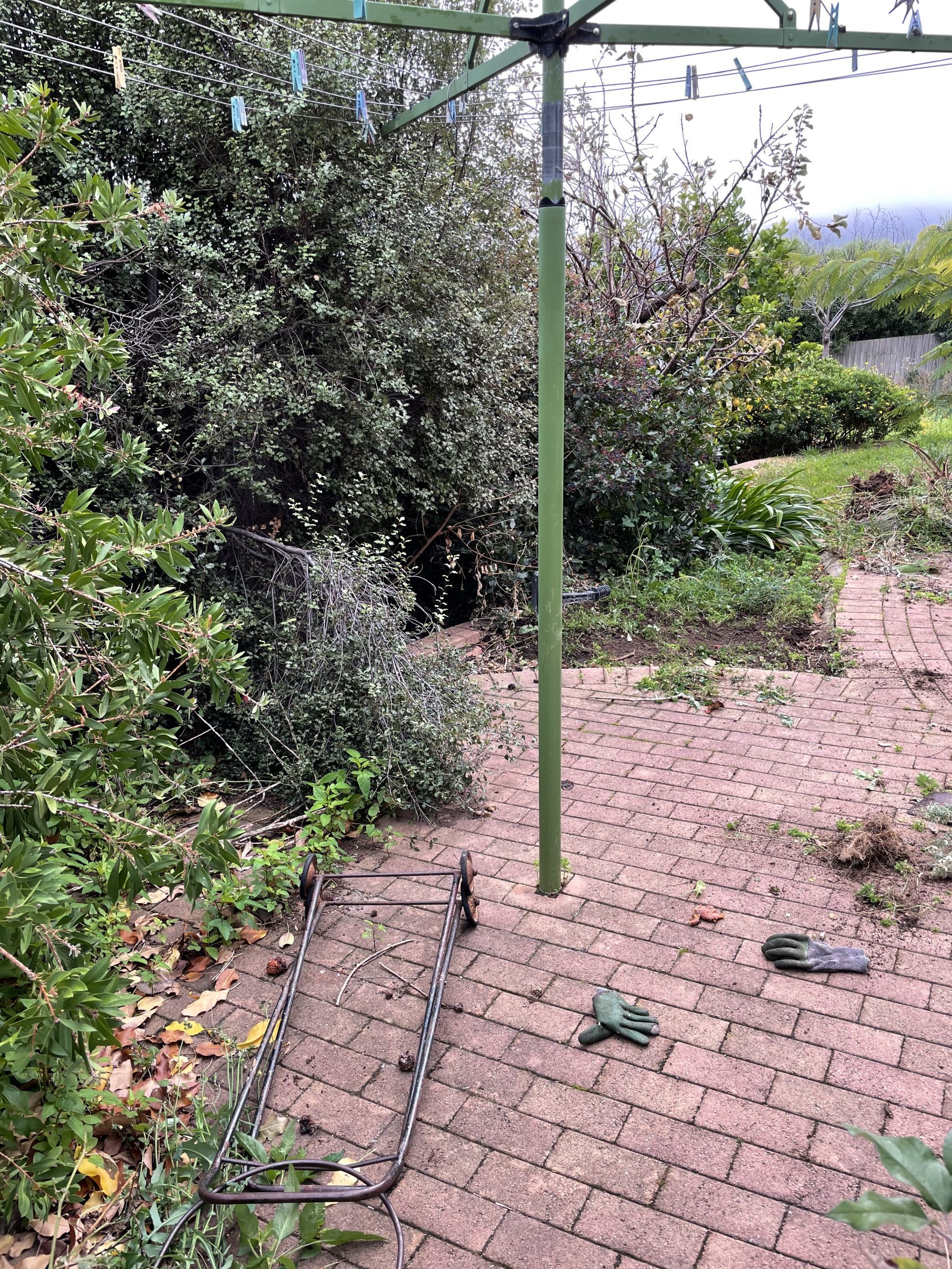 Canberra Gardening and Maintenance
