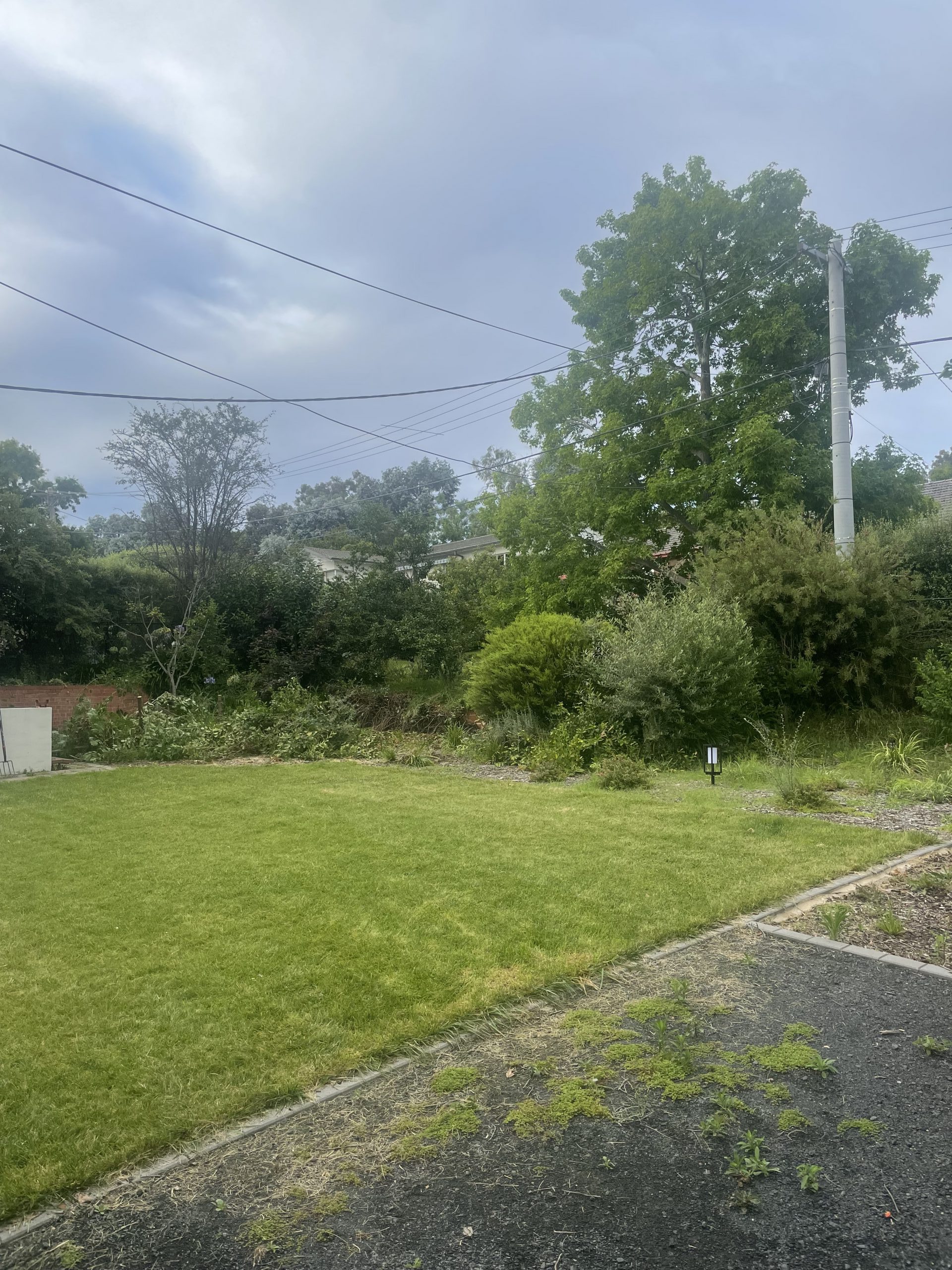 Canberra Gardening and Maintenance