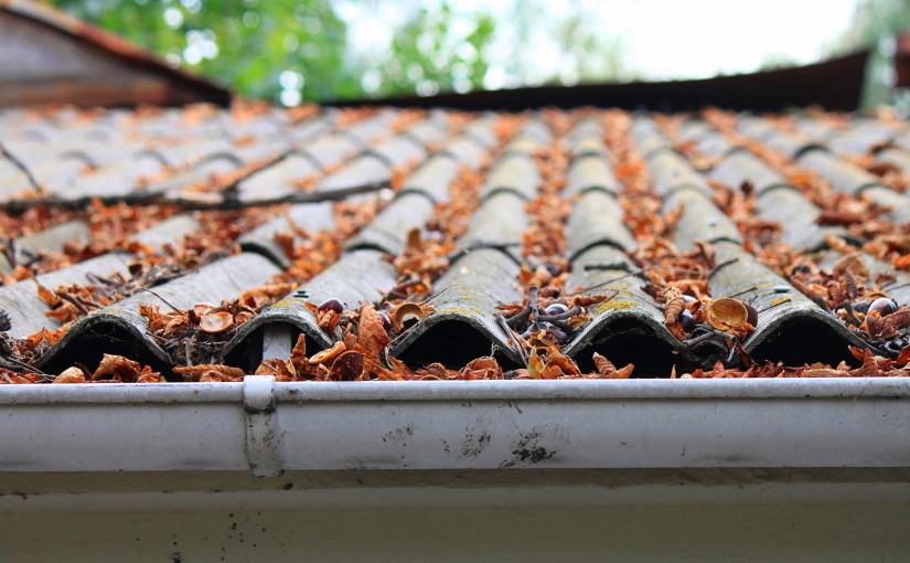 Gutter Cleaning